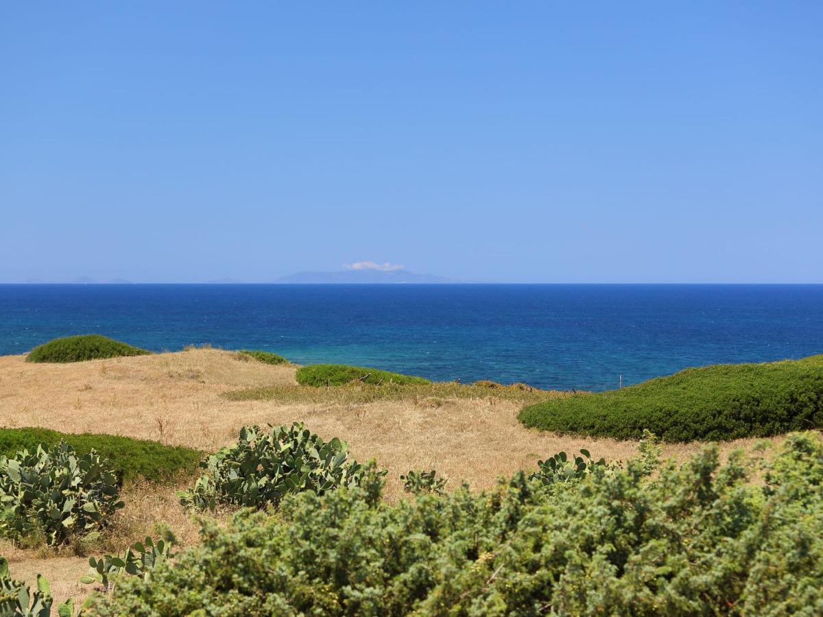 Apartment Ananas 4 D By Interhome Valledoria  Εξωτερικό φωτογραφία