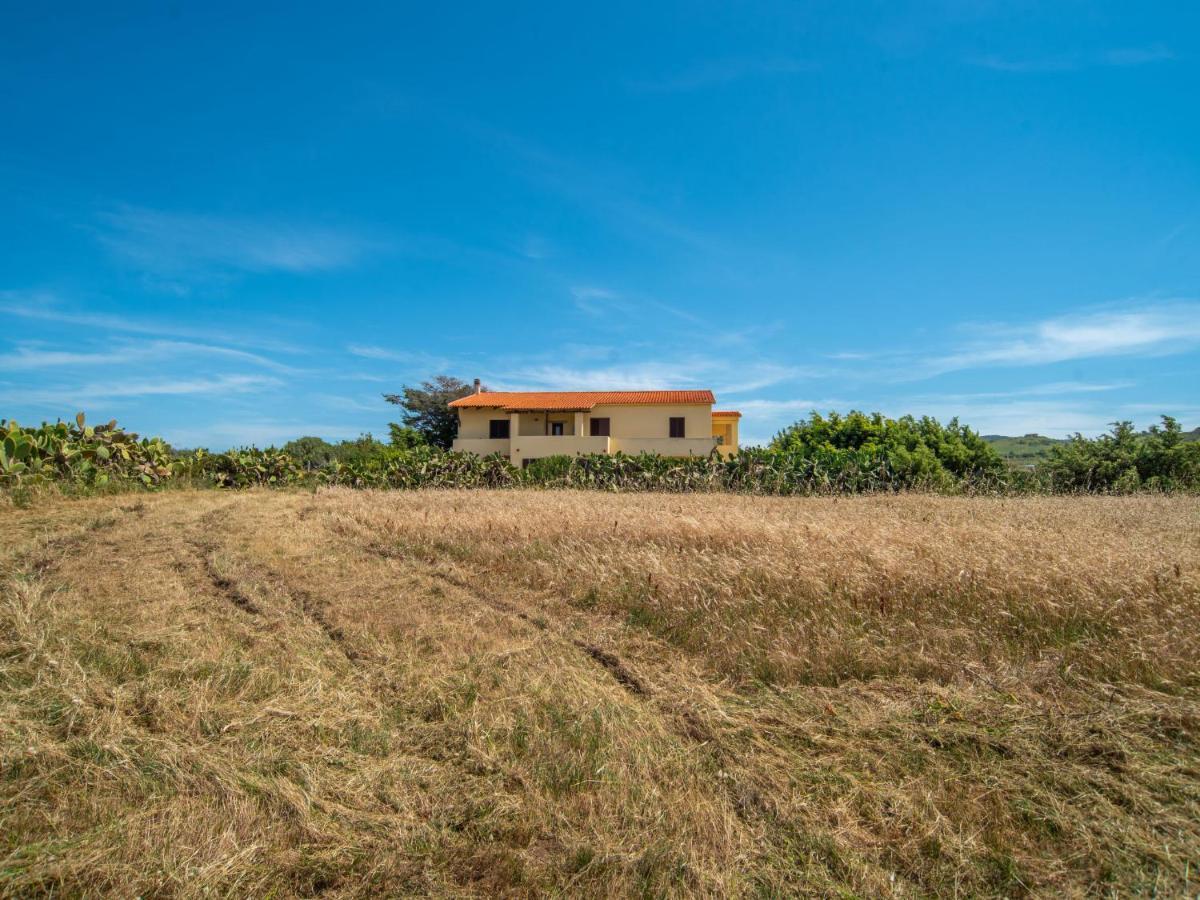 Apartment Ananas 4 D By Interhome Valledoria  Εξωτερικό φωτογραφία